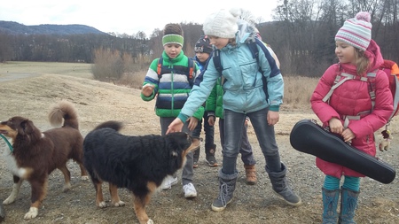 VS St. Veit VS St. Veit